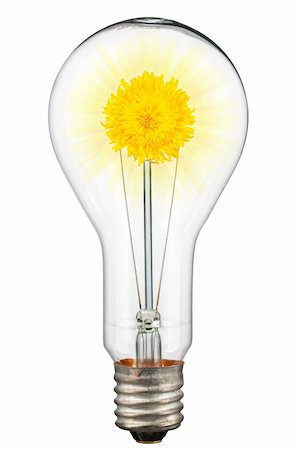 simsearch:400-04901392,k - The concept of ecological illumination. A dandelion with shining in a lamp. Isolated on white [with clipping path]. Stock Photo - Budget Royalty-Free & Subscription, Code: 400-05337044