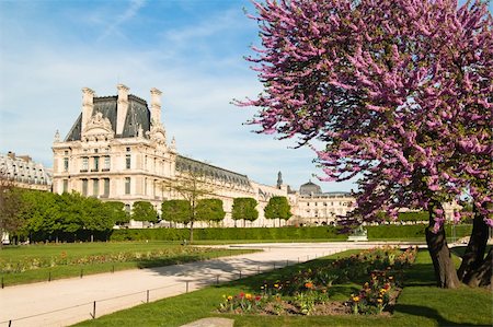 famous monuments in paris - Spring in Paris,  the gardens of Louvre museum, blooming tree with tulips, vibrant blue spring sky Foto de stock - Super Valor sin royalties y Suscripción, Código: 400-05337367