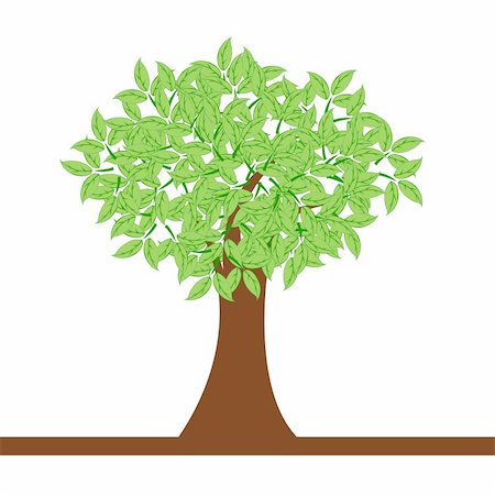 simsearch:400-05901134,k - illustration of natural tree on white background Stock Photo - Budget Royalty-Free & Subscription, Code: 400-05337493