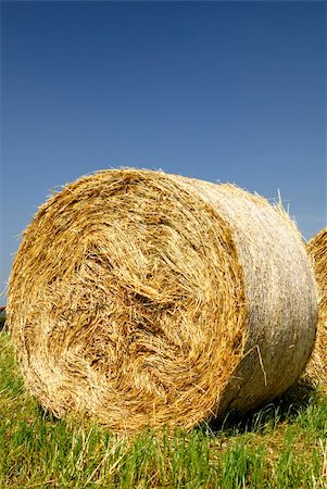 paolikphoto (artist) - Bale of hay in the fields Stock Photo - Budget Royalty-Free & Subscription, Code: 400-05337584