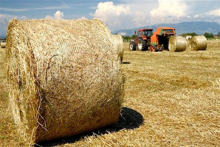 paolikphoto (artist) - Hay bales in the fields and tractor Stock Photo - Budget Royalty-Free & Subscription, Code: 400-05337814