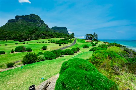 simsearch:400-04319321,k - Golf Course on the coast of Lord Howe Island Photographie de stock - Aubaine LD & Abonnement, Code: 400-05338042