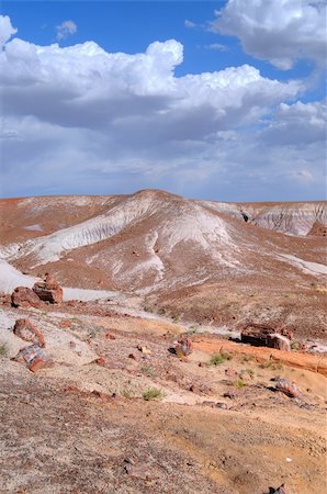 diomedes66 (artist) - Petrified forest national park with a storm coming in Foto de stock - Royalty-Free Super Valor e Assinatura, Número: 400-05338415