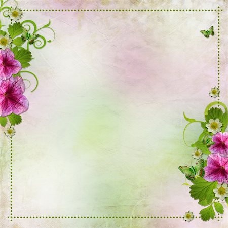 Background for congratulation card in pink and green Stock Photo - Budget Royalty-Free & Subscription, Code: 400-05338432