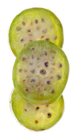 simsearch:400-05240866,k - Ripe Prickly Pear Cactaceous Fruit Isolated on White with a Clipping Path. Fotografie stock - Microstock e Abbonamento, Codice: 400-05339938