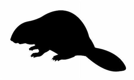 vector silhouette beaver on white background Stock Photo - Budget Royalty-Free & Subscription, Code: 400-05330241