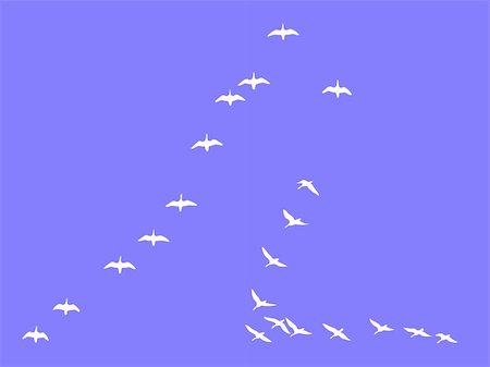 simsearch:400-04735958,k - silhouettes flock geese isolated on blue  background Foto de stock - Super Valor sin royalties y Suscripción, Código: 400-05330254