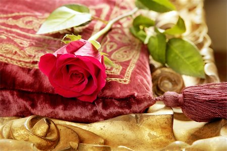 classic red rose on embroidery vintage velvet pillow golden border Stock Photo - Budget Royalty-Free & Subscription, Code: 400-05331996
