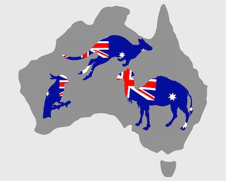 red kangaroo of australia - Australian animals Stock Photo - Budget Royalty-Free & Subscription, Code: 400-05332062