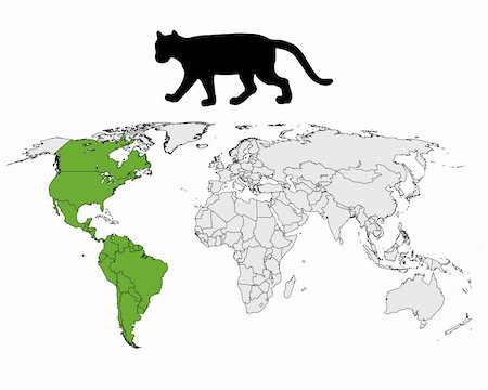 puma animal - Cougar range map Stock Photo - Budget Royalty-Free & Subscription, Code: 400-05332247