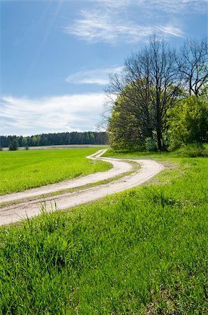 Rural road passes in the field Stock Photo - Budget Royalty-Free & Subscription, Code: 400-05333528