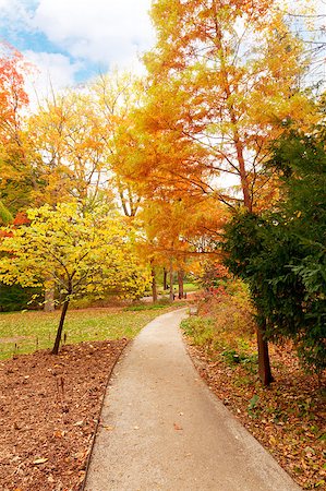 Beautiful fall scenery in the one of the city parks in Indianapolis, Indiana Stock Photo - Budget Royalty-Free & Subscription, Code: 400-05344657