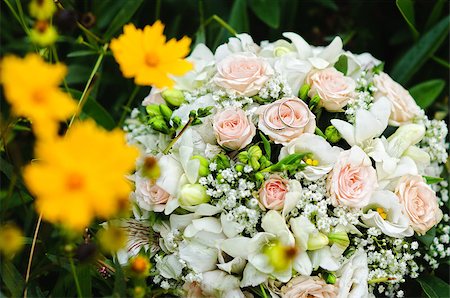 simsearch:400-05216412,k - wedding bands on a bouquet of roses Photographie de stock - Aubaine LD & Abonnement, Code: 400-05344685