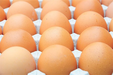 simsearch:400-04313912,k - fresh organic brown eggs Stockbilder - Microstock & Abonnement, Bildnummer: 400-05345491