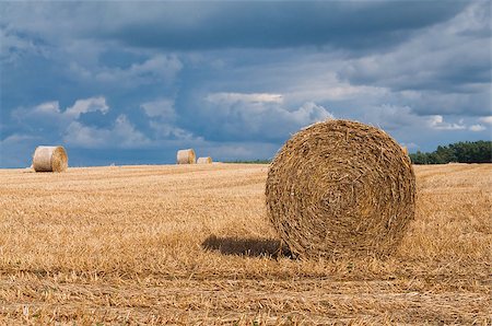 sun over farm field - Straw rolls on summer farmer field Photographie de stock - Aubaine LD & Abonnement, Code: 400-05346210