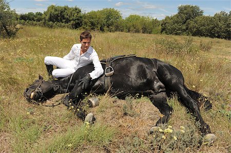 young man and his black stallion in  a field Foto de stock - Super Valor sin royalties y Suscripción, Código: 400-05346704