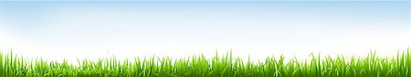 environmental business illustration - Header With Grass, Vector Illustration Photographie de stock - Aubaine LD & Abonnement, Code: 400-05347319