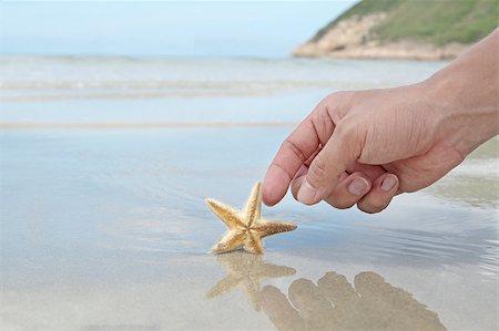 hand touching the starfish Stock Photo - Budget Royalty-Free & Subscription, Code: 400-05347762