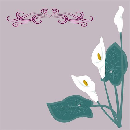 White lilies on a gray background.  Basic elements are grouped. Photographie de stock - Aubaine LD & Abonnement, Code: 400-05348897