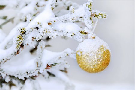 yellow christmas ball on snowy new year tree branch Stock Photo - Budget Royalty-Free & Subscription, Code: 400-05349123
