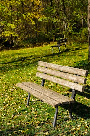 An empty bench in a park during a sunny Autumn day Foto de stock - Super Valor sin royalties y Suscripción, Código: 400-05349174