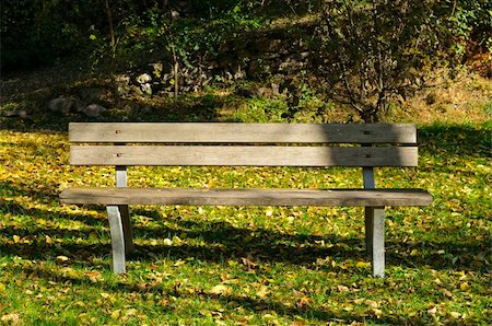 An empty bench in a park during a sunny Autumn day Foto de stock - Super Valor sin royalties y Suscripción, Código: 400-05349175