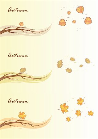 fall aspen leaves - Autumn branches and leaves in the wind. Vector Illustration. Stock Photo - Budget Royalty-Free & Subscription, Code: 400-05349257