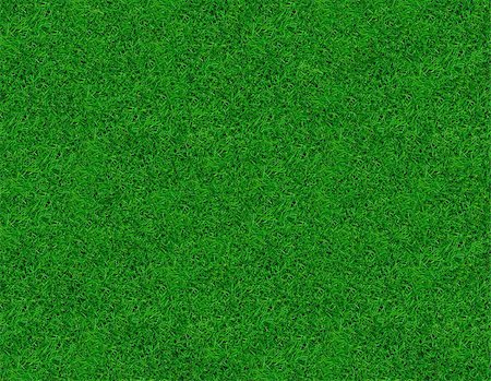 simple grass pattern - Close-up image of fresh spring green grass Stock Photo - Budget Royalty-Free & Subscription, Code: 400-05340371