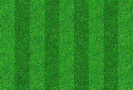 simple grass pattern - Close-up image of fresh spring green grass Stock Photo - Budget Royalty-Free & Subscription, Code: 400-05340372
