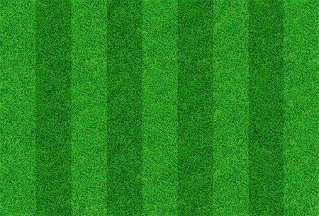 simple grass pattern - Close-up image of fresh spring green grass Stock Photo - Budget Royalty-Free & Subscription, Code: 400-05340373