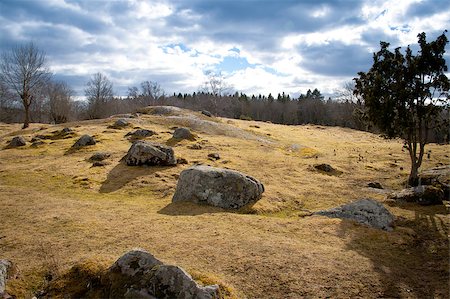 stone walls in meadows - Stones on a field Stock Photo - Budget Royalty-Free & Subscription, Code: 400-05340565
