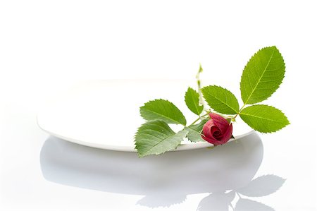 Close-up of a white plate on it is a red rose. Isolated Stock Photo - Budget Royalty-Free & Subscription, Code: 400-05340650