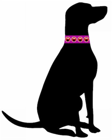scheu - Dog tick collar Stock Photo - Budget Royalty-Free & Subscription, Code: 400-05340876