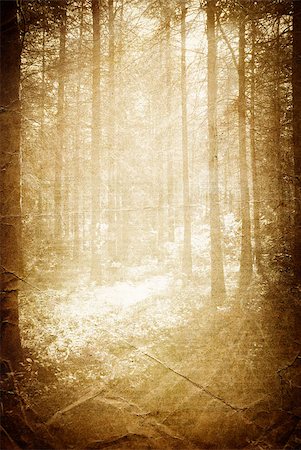 sunspot - Sunlight in the forest, vintage background with space for text. Stock Photo - Budget Royalty-Free & Subscription, Code: 400-05341774