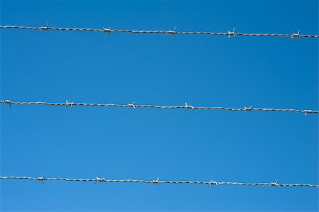 simsearch:400-04735037,k - image of a barbed wire against the blue sky Stockbilder - Microstock & Abonnement, Bildnummer: 400-05342166