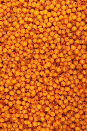 sea-buckthorn, background Stock Photo - Budget Royalty-Free & Subscription, Code: 400-05342213