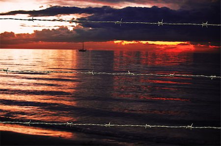 simsearch:400-04609623,k - Barbed wire on sunset sky background. Shallow DOF Photographie de stock - Aubaine LD & Abonnement, Code: 400-05342414