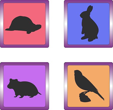 Set of pet icons: turtle, rabbit, hamster and canary Stockbilder - Microstock & Abonnement, Bildnummer: 400-05342540