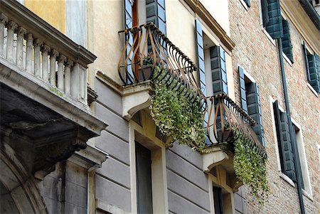 balconies with ivy and building exterior in Padua, Italy Stock Photo - Budget Royalty-Free & Subscription, Code: 400-05342857