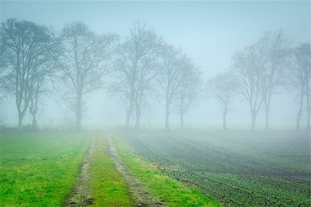 An image of a nice autumn forest way Stock Photo - Budget Royalty-Free & Subscription, Code: 400-05342862