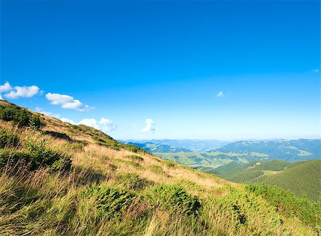 softwood - Summer mountain glade view (Carpathian, Ukraine) Stock Photo - Budget Royalty-Free & Subscription, Code: 400-05342885