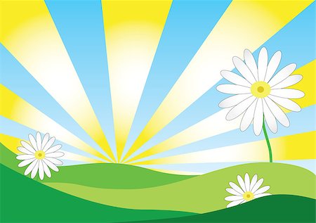 Vector of daisy background on sunshine day. Stock Photo - Budget Royalty-Free & Subscription, Code: 400-05343176