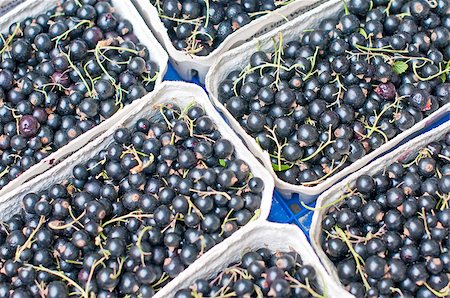 simsearch:400-07667203,k - black currant Stock Photo - Budget Royalty-Free & Subscription, Code: 400-05343304