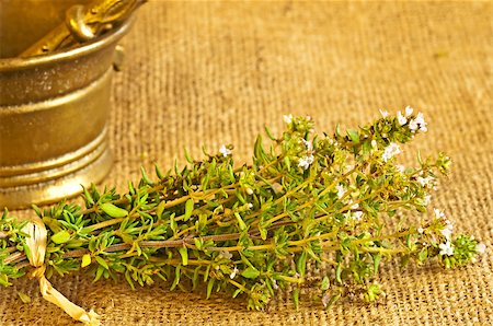 thyme Stock Photo - Budget Royalty-Free & Subscription, Code: 400-05343315