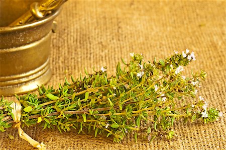 thyme Photographie de stock - Aubaine LD & Abonnement, Code: 400-05343315
