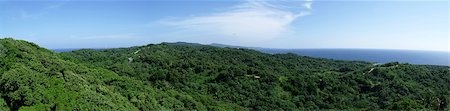 The lush green hills of Roatan island Photographie de stock - Aubaine LD & Abonnement, Code: 400-05343370