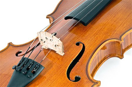 simsearch:400-04794644,k - Italian wooden violin Chord details on white background Photographie de stock - Aubaine LD & Abonnement, Code: 400-05343578