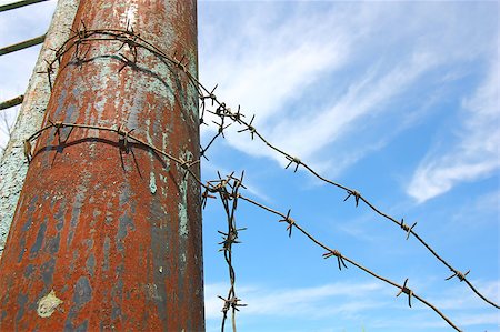 profugo (uomo e donna) - barbed wire on the pole against the blue sky Fotografie stock - Microstock e Abbonamento, Codice: 400-05343896