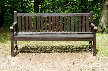 Frontal view of a wooden empty bench in a park Foto de stock - Super Valor sin royalties y Suscripción, Código: 400-05343978