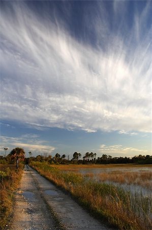 Backcountry Trail in Big Cypress National Preserve Stock Photo - Budget Royalty-Free & Subscription, Code: 400-05354328